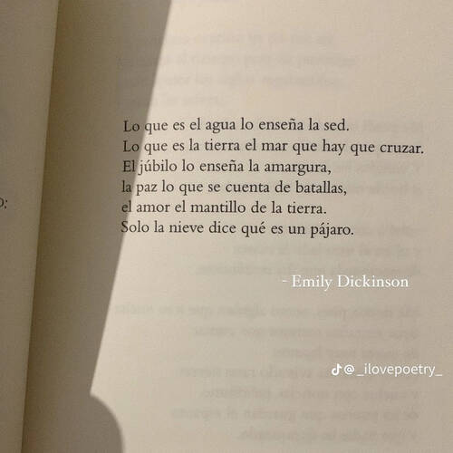 Foto extra 1