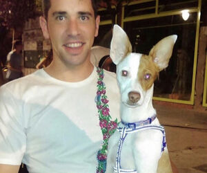 Hector