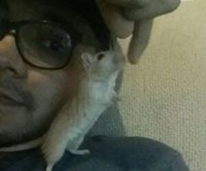 Saulo Perez