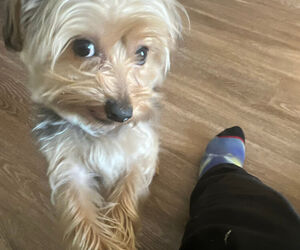Pablo