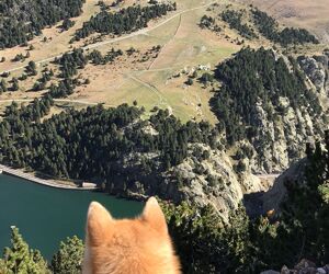 levante