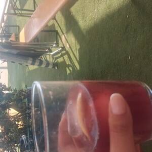 Buena