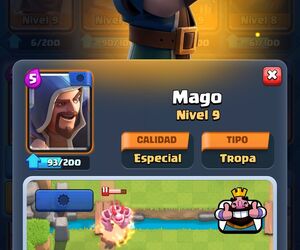 Mago al 14