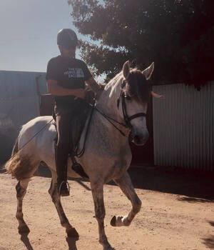 Cesar