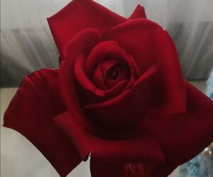 Josma