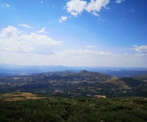 Vanadisa