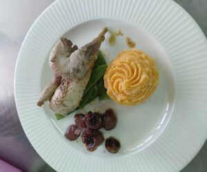 Gullermo