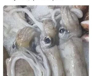 Jua