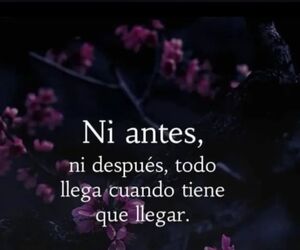 Mayte