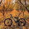 Ruta mountain bike por El Puerto de Santa Marí­a