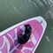 Paddle Surf en Valdelagrana
