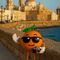 Visita a la cadiz Romana