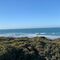 Paddle surf