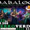 Concierto -PERRO VERDE-