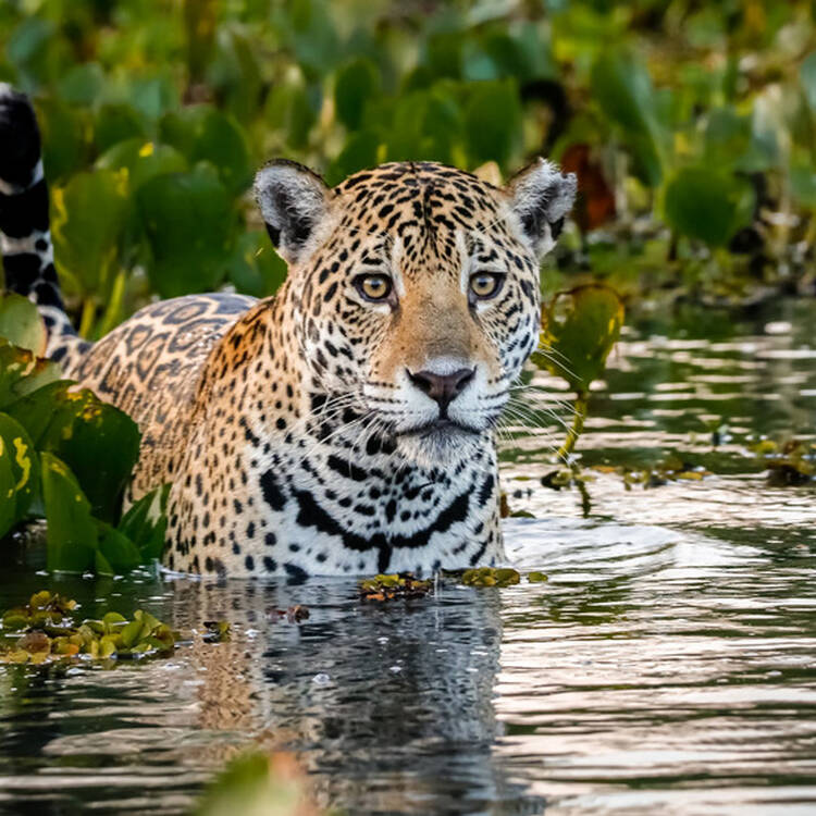 Foto de perfil de Reina