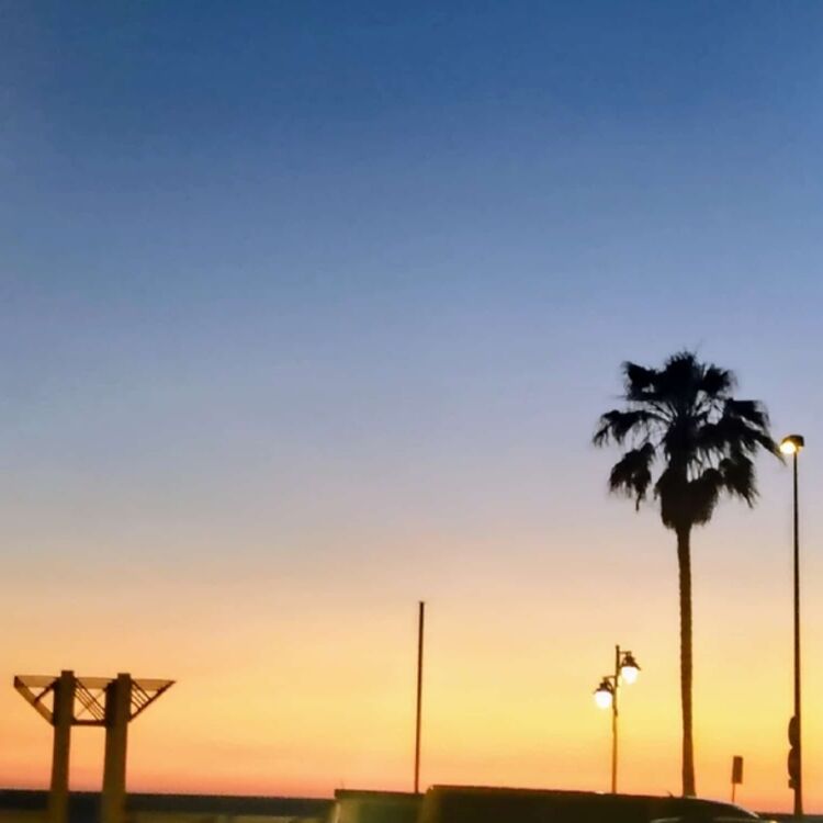 Foto de perfil de Luis