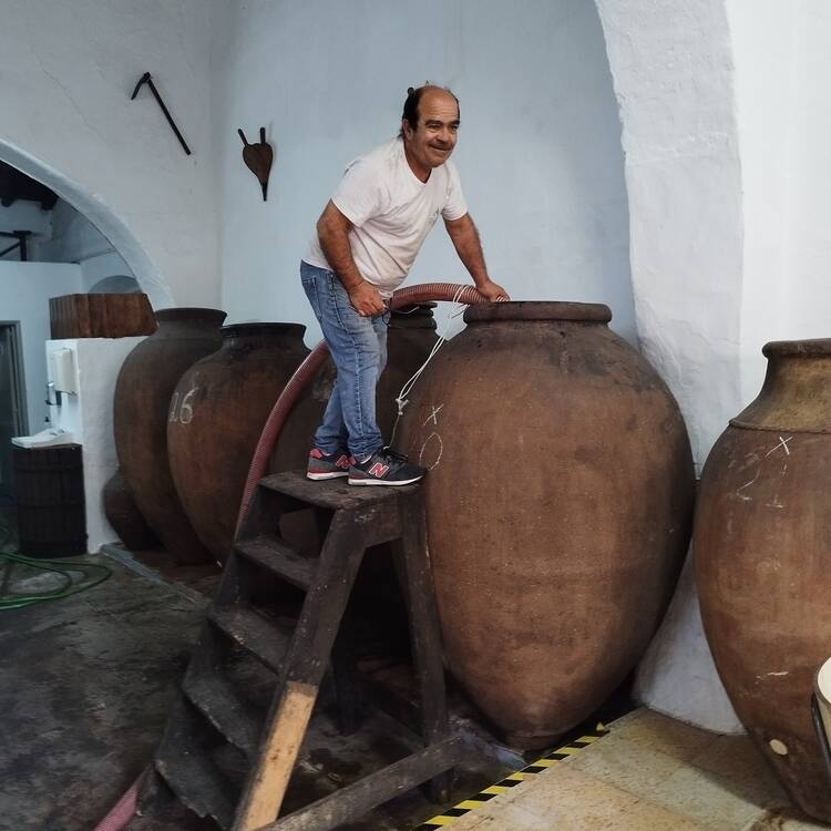 Foto de perfil de Vasco