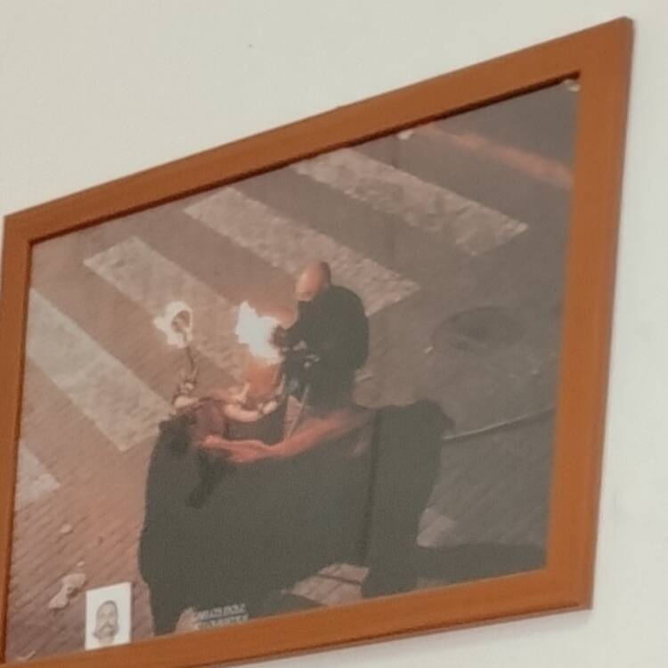 Foto de perfil de Tomas