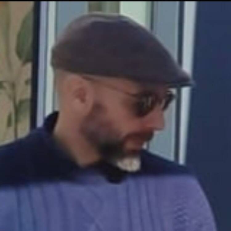 Foto de perfil de Jose Luis