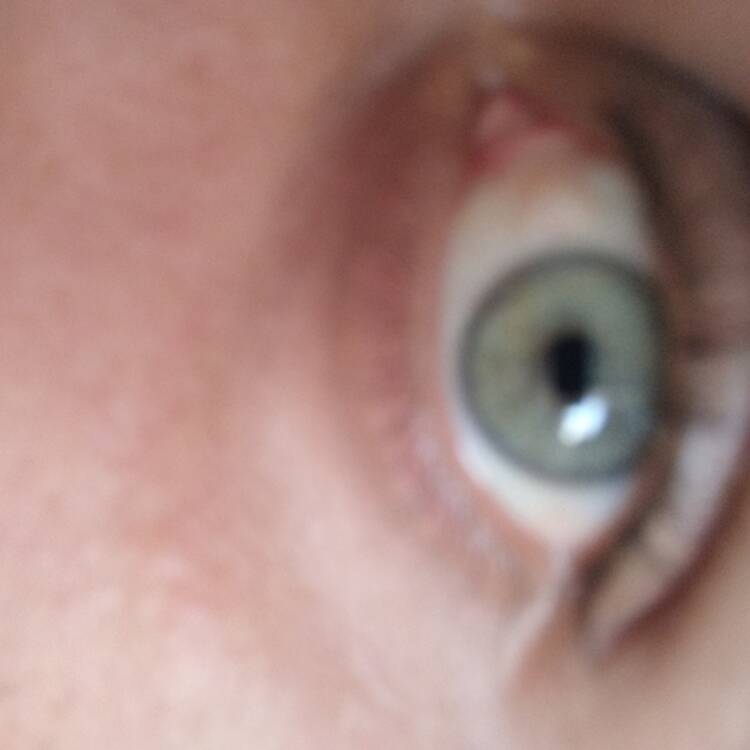 Foto de perfil de adrian