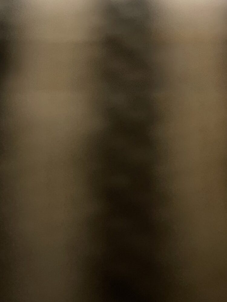 Foto de perfil de Alex