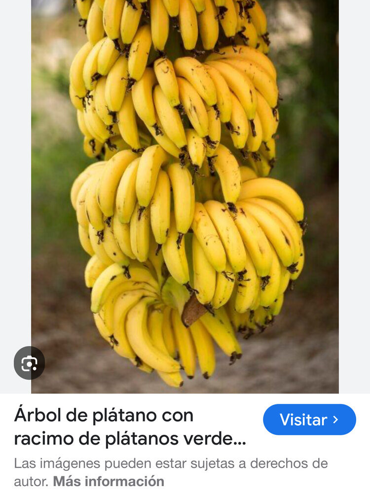 Foto de perfil de Mario