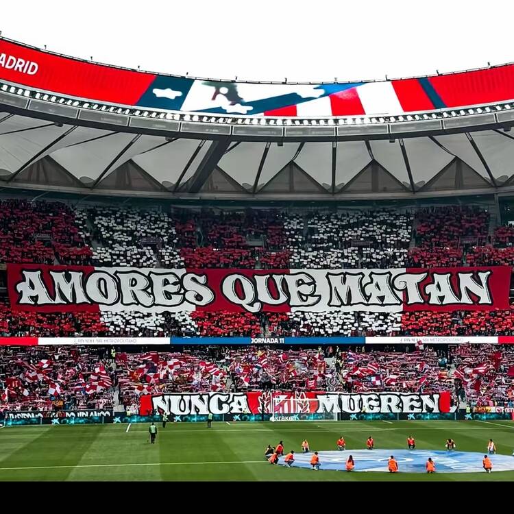 Foto de perfil de Manuel