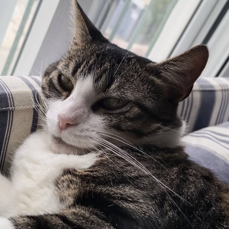 Foto de perfil de Teresa
