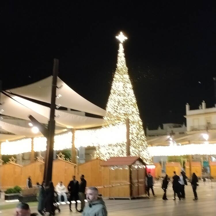 Foto de perfil de Alfonso