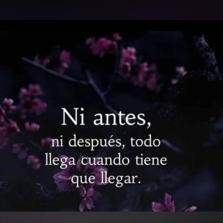Foto de perfil de Mayte