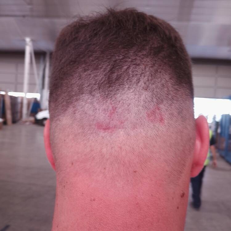 Foto de perfil de Karl