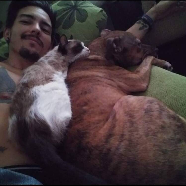 Foto de perfil de Alejandro
