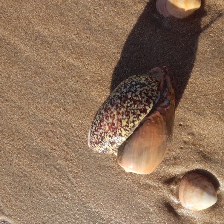 Foto de perfil de Juan