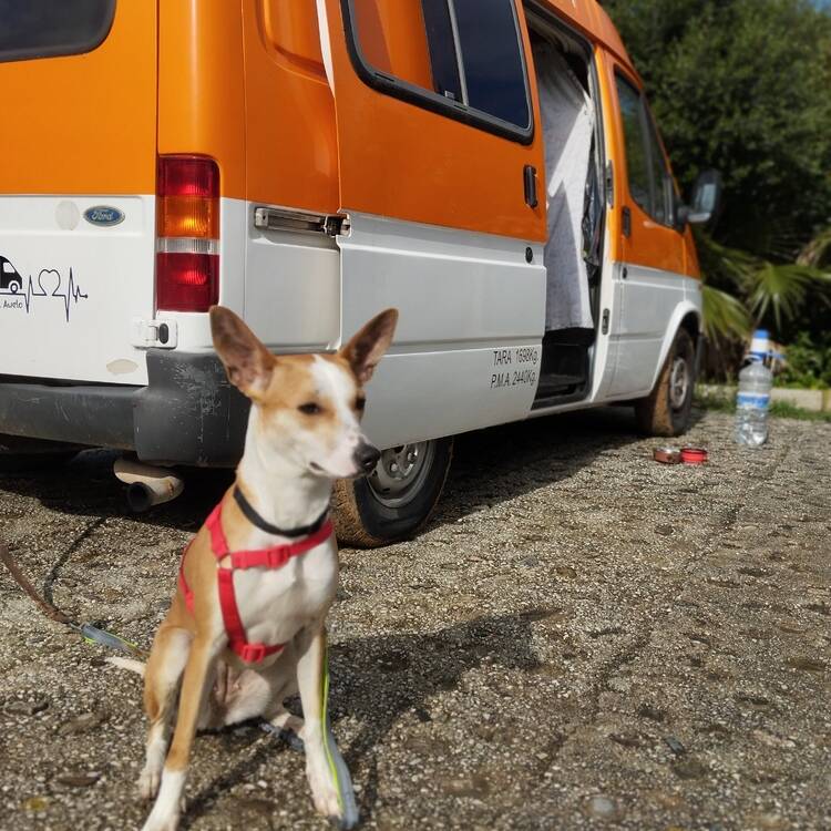Foto de perfil de Abraham